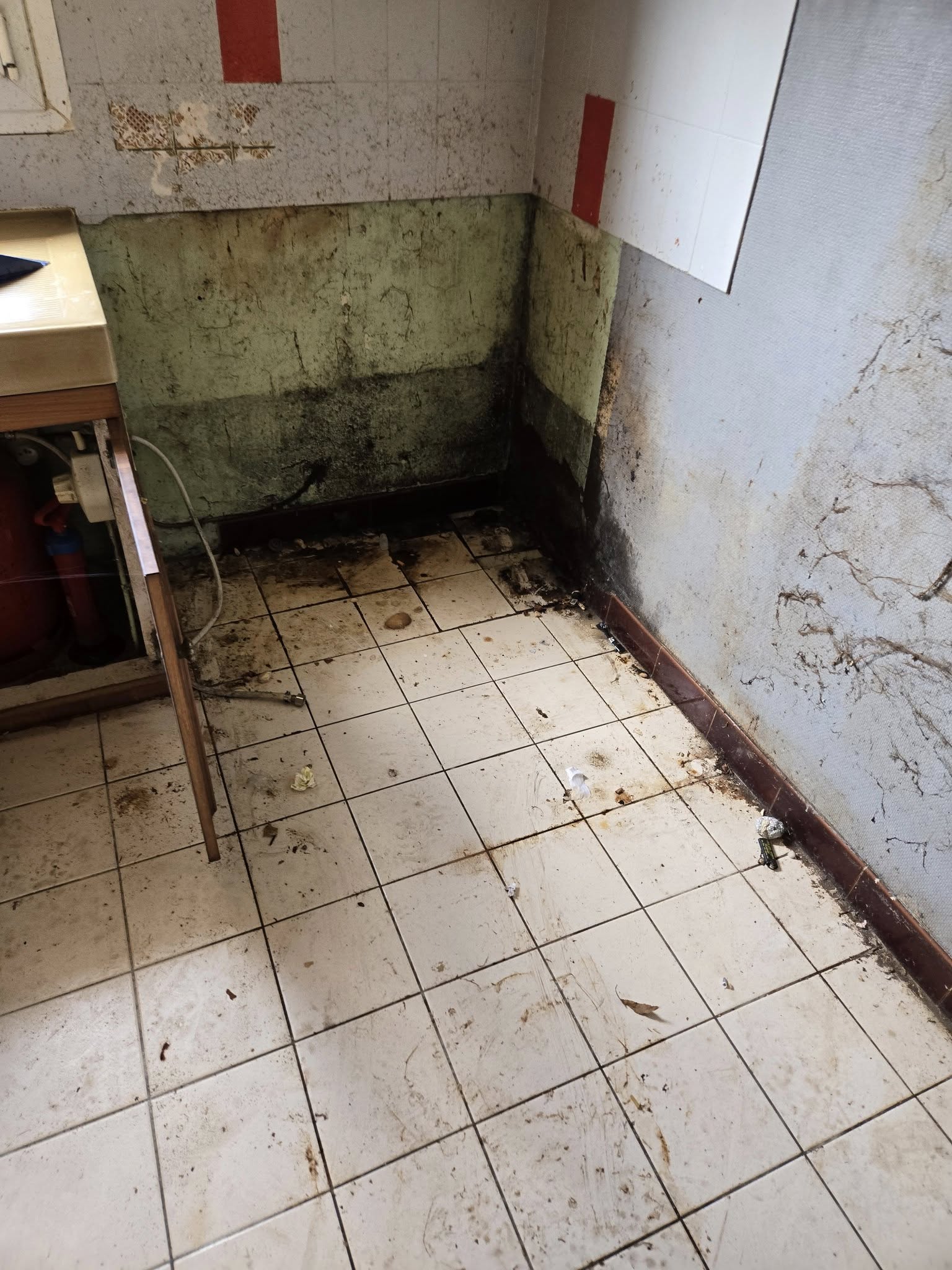 Ménage avant vente d'une maison - Avant